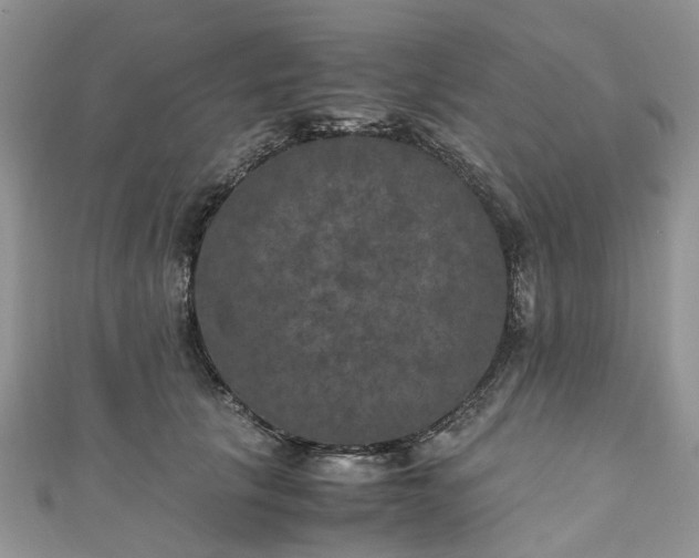 X0000111010657200906261520