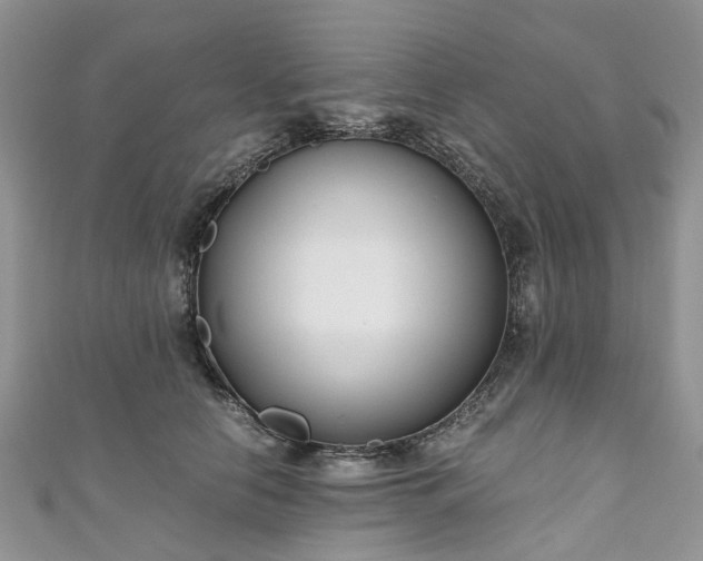 X0000111010658200906261520