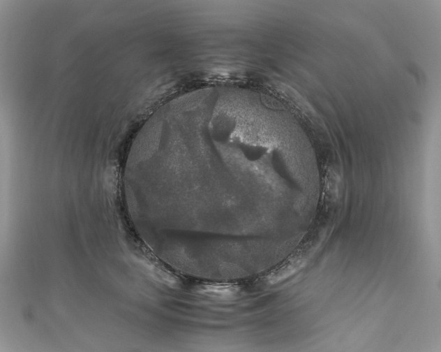 X0000111010659200906261520