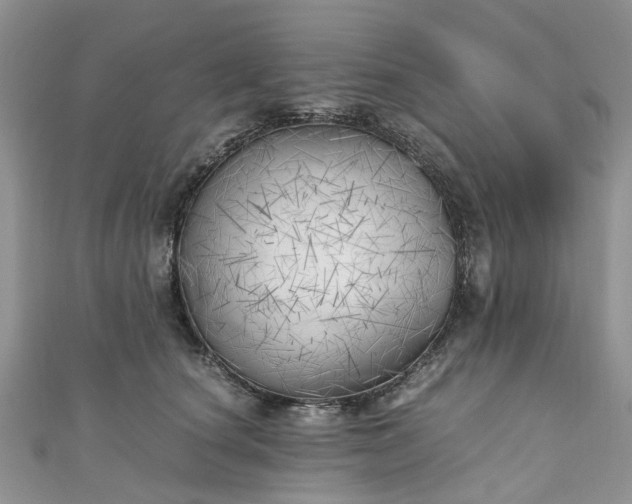 X0000111010660200906261520