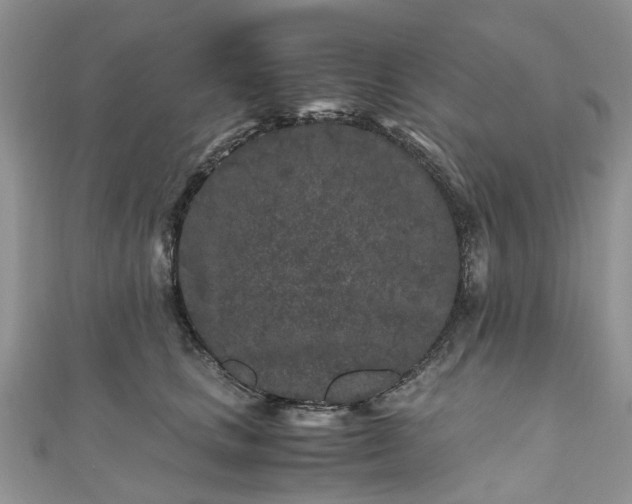 X0000111010661200906261520