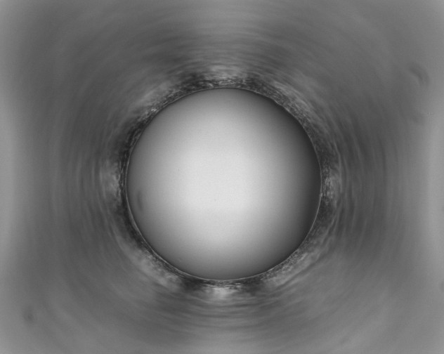 X0000111010662200906261520