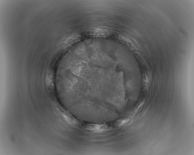 X0000111010663200906261520