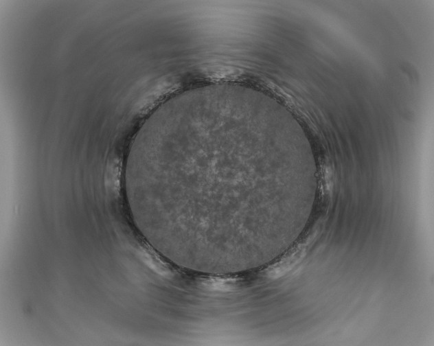 X0000111010664200906261520