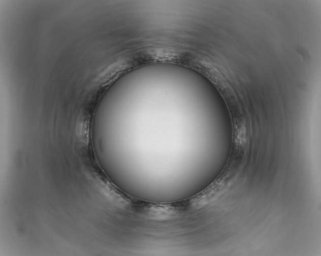 X0000111010666200906261520