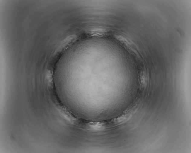 X0000111010667200906261520
