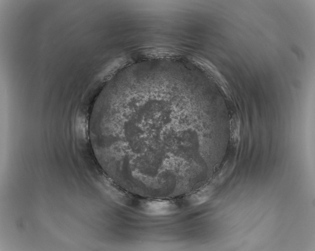 X0000111010669200906261520