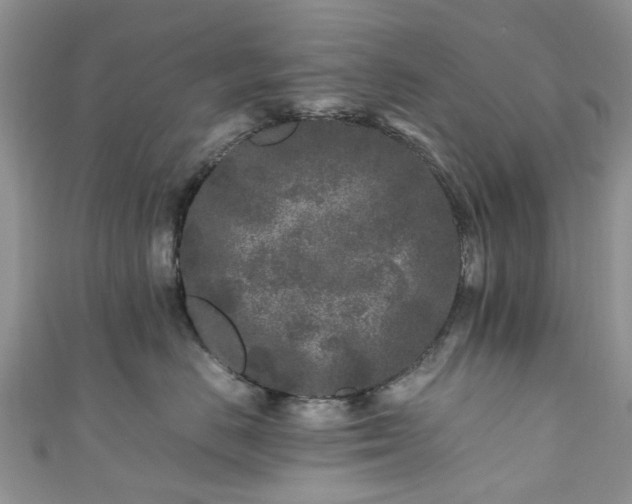 X0000111010670200906261520