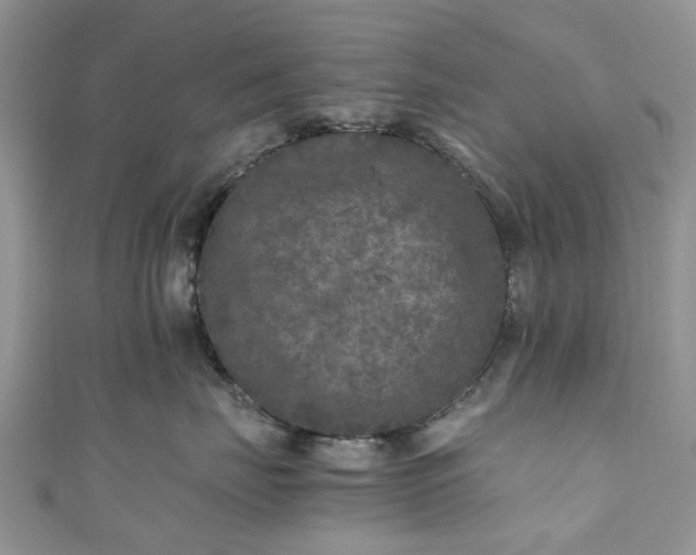 X0000111010671200906261520