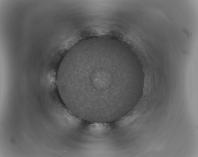 X0000111010672200906261520