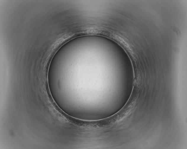 X0000111010673200906261520