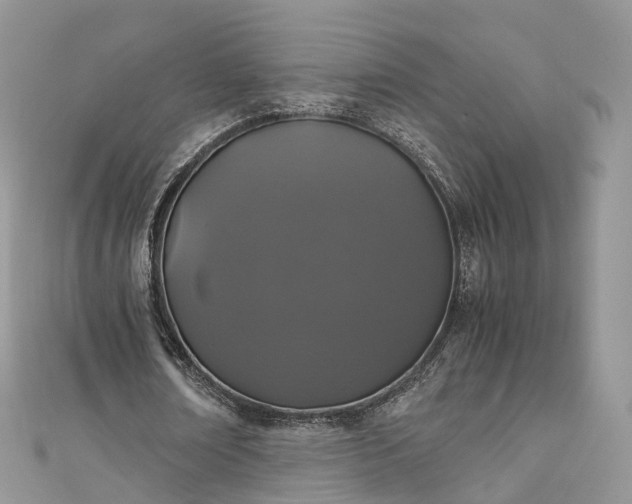 X0000111010674200906261520