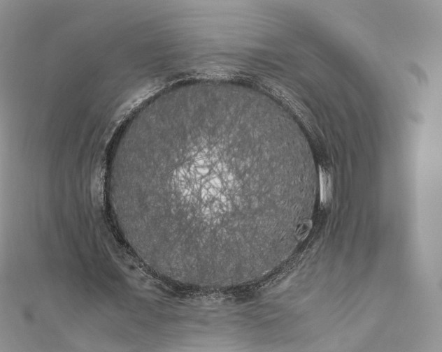 X0000111010675200906261520