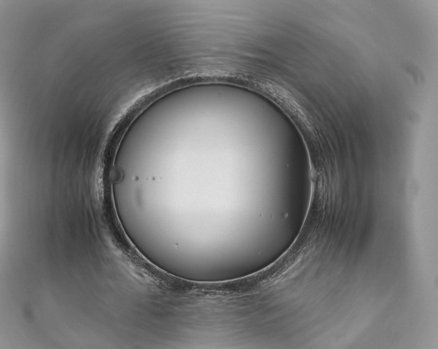 X0000111010676200906261520