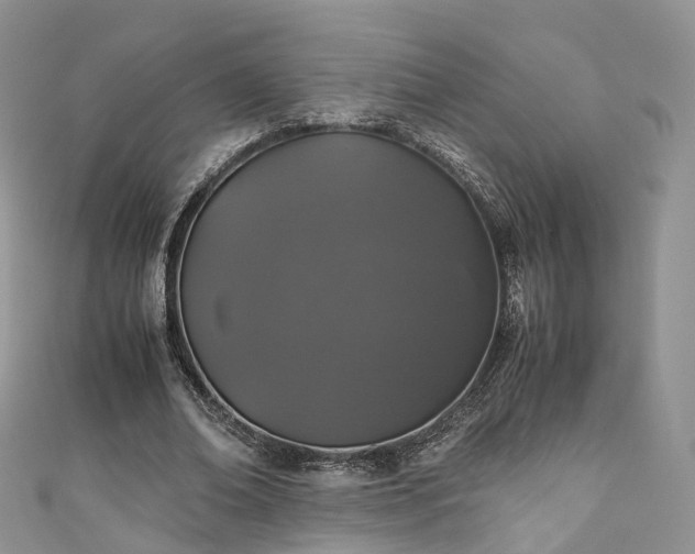 X0000111010678200906261520