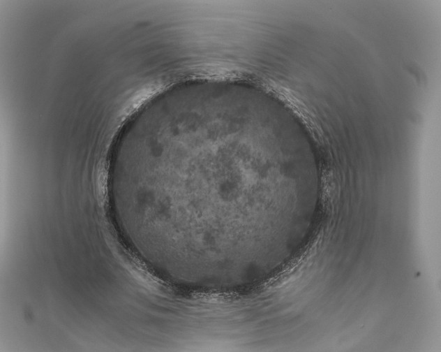 X0000111010679200906261520