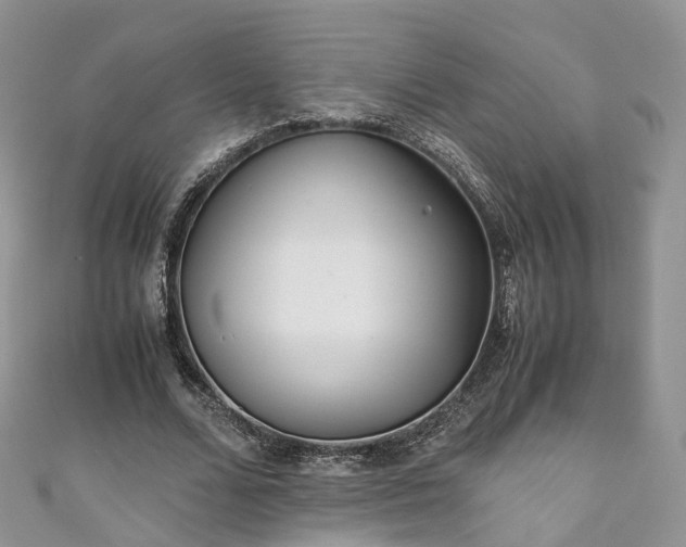 X0000111010680200906261520