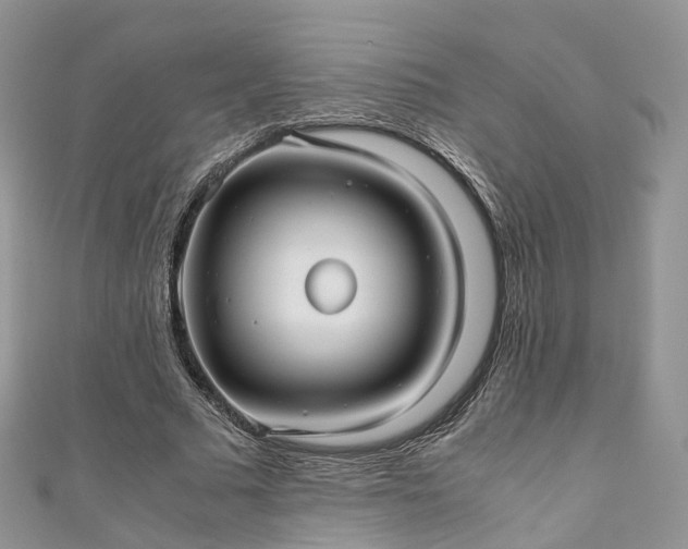 X0000111010681200906261520