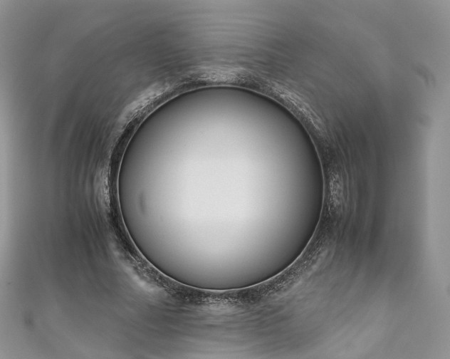 X0000111010682200906261520