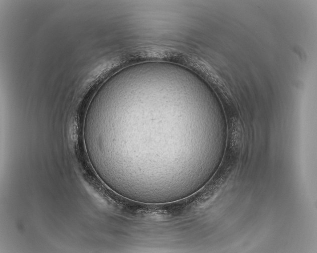 X0000111010683200906261520