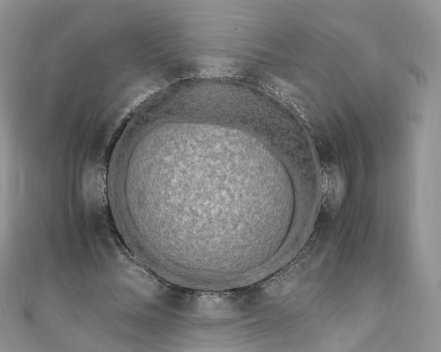 X0000111010684200906261520