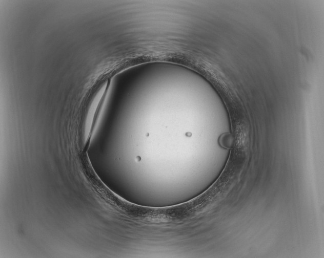 X0000111010685200906261520
