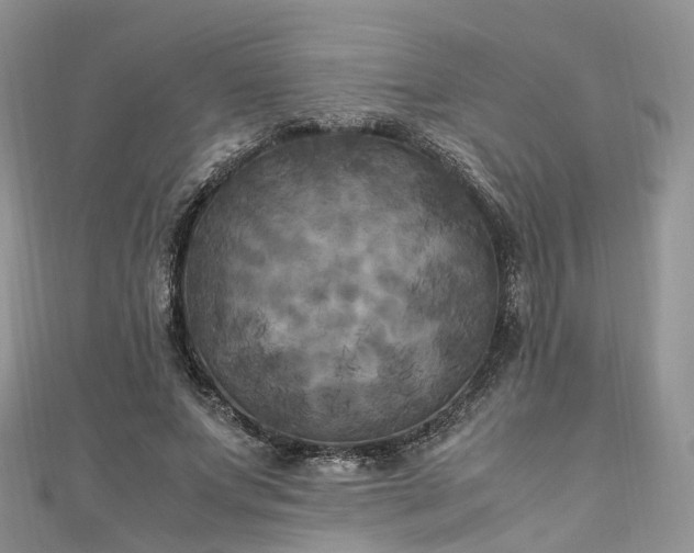 X0000111010687200906261520