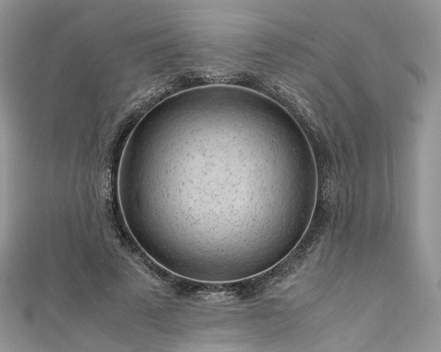 X0000111010689200906261520
