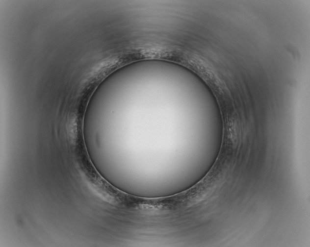 X0000111010690200906261520