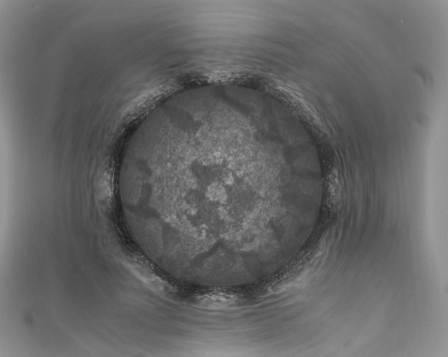 X0000111010691200906261520