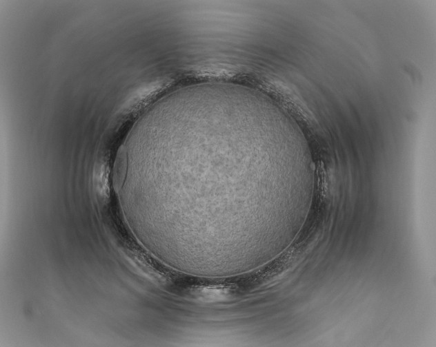 X0000111010692200906261520