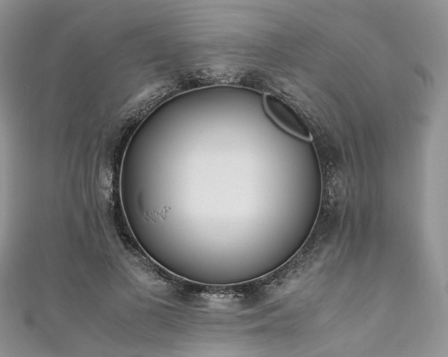X0000111010693200906261520