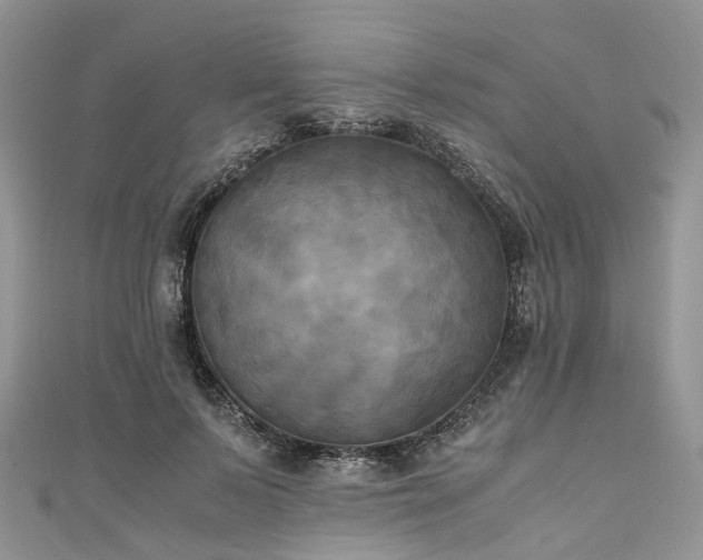 X0000111010695200906261520