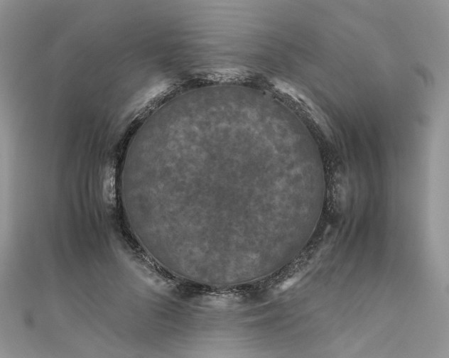 X0000111010696200906261520