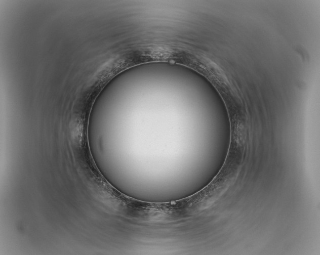 X0000111010697200906261520