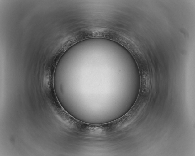 X0000111010698200906261520
