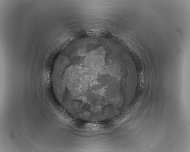 X0000111010699200906261520