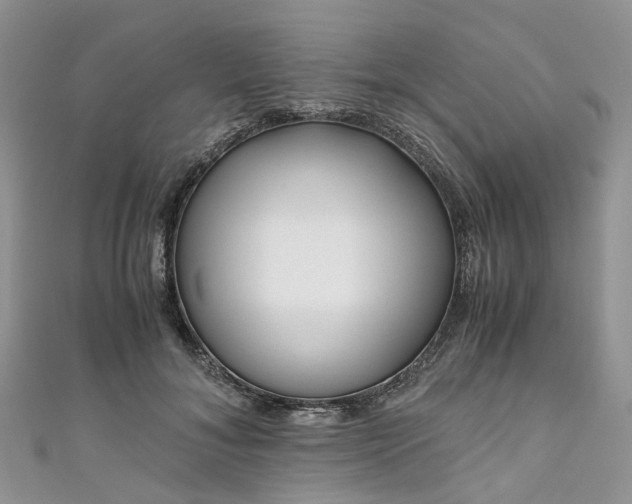 X0000111010700200906261519