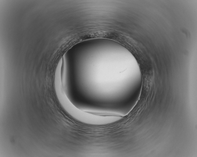 X0000111010701200906261519