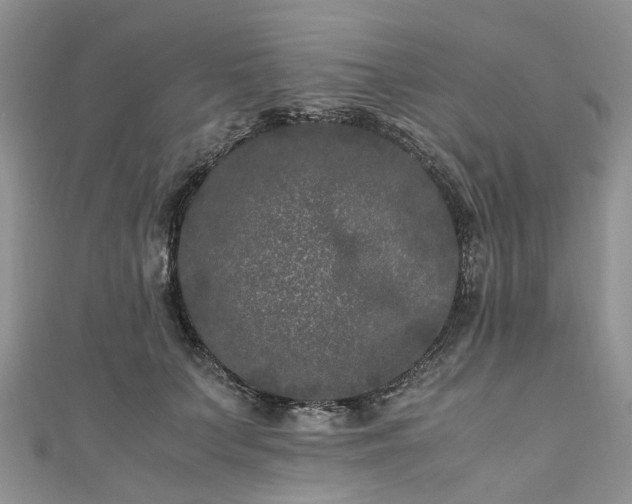 X0000111010703200906261519