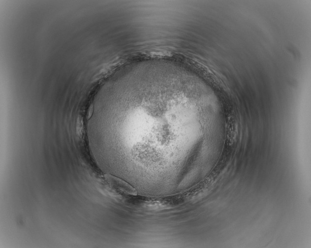 X0000111010704200906261519