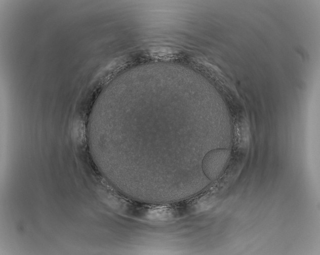 X0000111010705200906261519