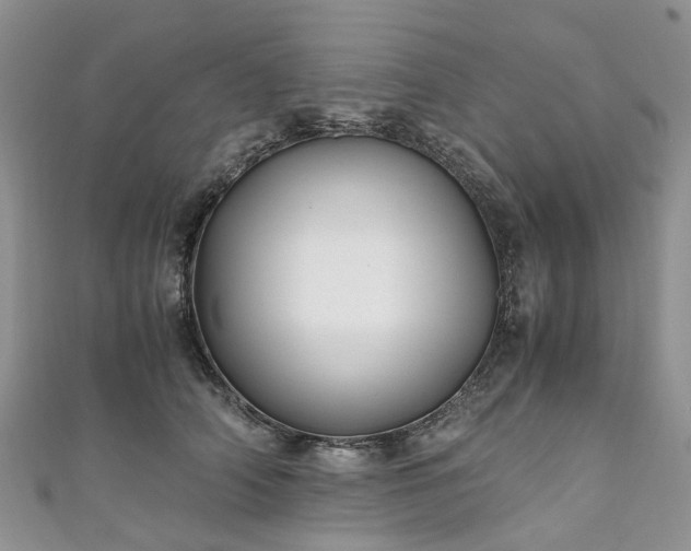 X0000111010706200906261519