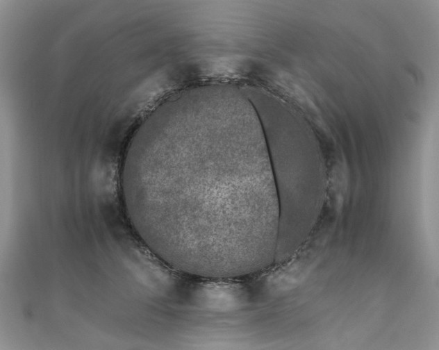 X0000111010708200906261519
