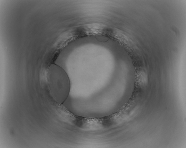 X0000111010709200906261519