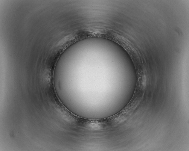 X0000111010710200906261519