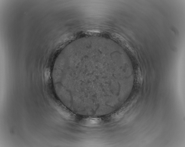 X0000111010711200906261519
