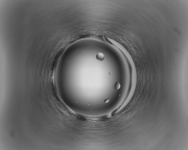 X0000111010713200906261519