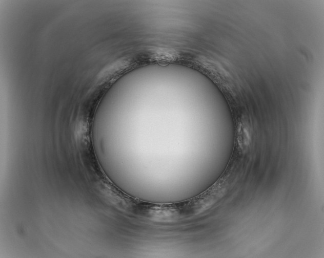 X0000111010714200906261519