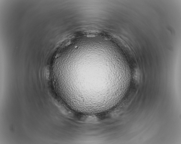 X0000111010715200906261519